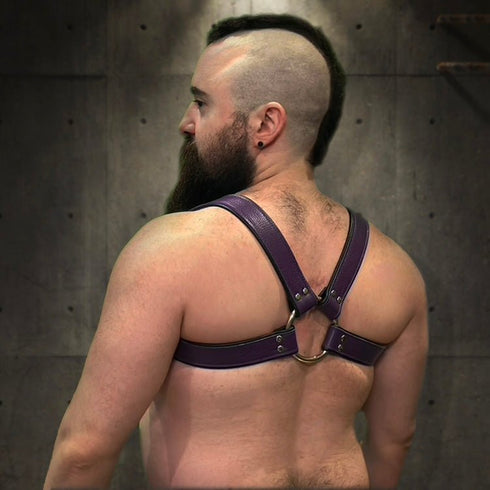 Bold Bulldog Harness